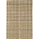 Guuji Rattan & Iron High Cabinet from Accessories for the Home