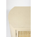 Amaya Rattan & Iron 2 Door Cabinet from Accessories for the Home