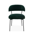 The Winner Takes It All Dark Green Velvet Dining Chair from Accessories for the Home